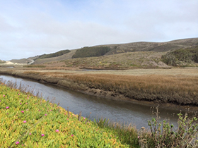 Pescadero Marsh